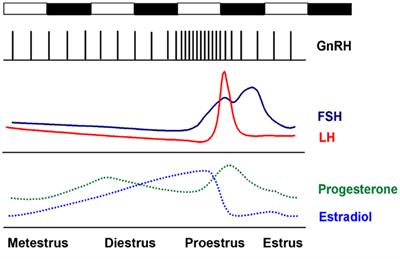 Central Circadian Control of Female Reproductive Function